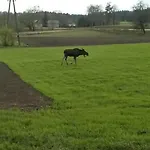 Swierkowy Zakatek Camping *