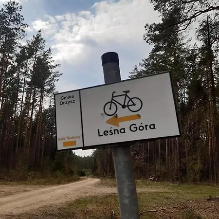 Swierkowy Zakatek Campsite